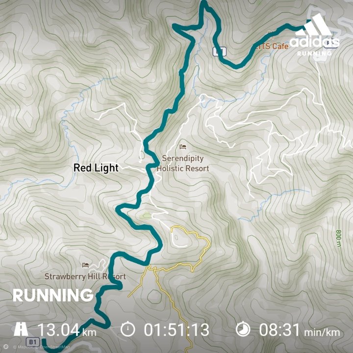 apsmithimages's tweet photo. Longest #run in over 30 months. 13k #mountainrun #BlueMountainsJa #running #healthylifestyle #norunisabadrun @RunningEventsJa @adidasrunning @RunningMrJones @runnersworld https://t.co/DvR9ywAMdA