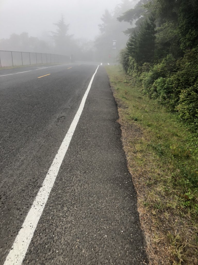 CoachHop's tweet photo. 🌫 Friday morning 🏃🏼😁 #DailyExercise #fitnessmotivation #FridayVibes #Grateful #HappyFriday #HealthAndFitness #healthiswealth #GoodVibesOnly #nikerunclub #nikerunning #NikeTrainingClub #Oregon #RunOregon #OregonRunner #CoosBay #RunCoosBay #CoosBayRunner #PositiveEnergy #Summer https://t.co/YmpEn7ABq2