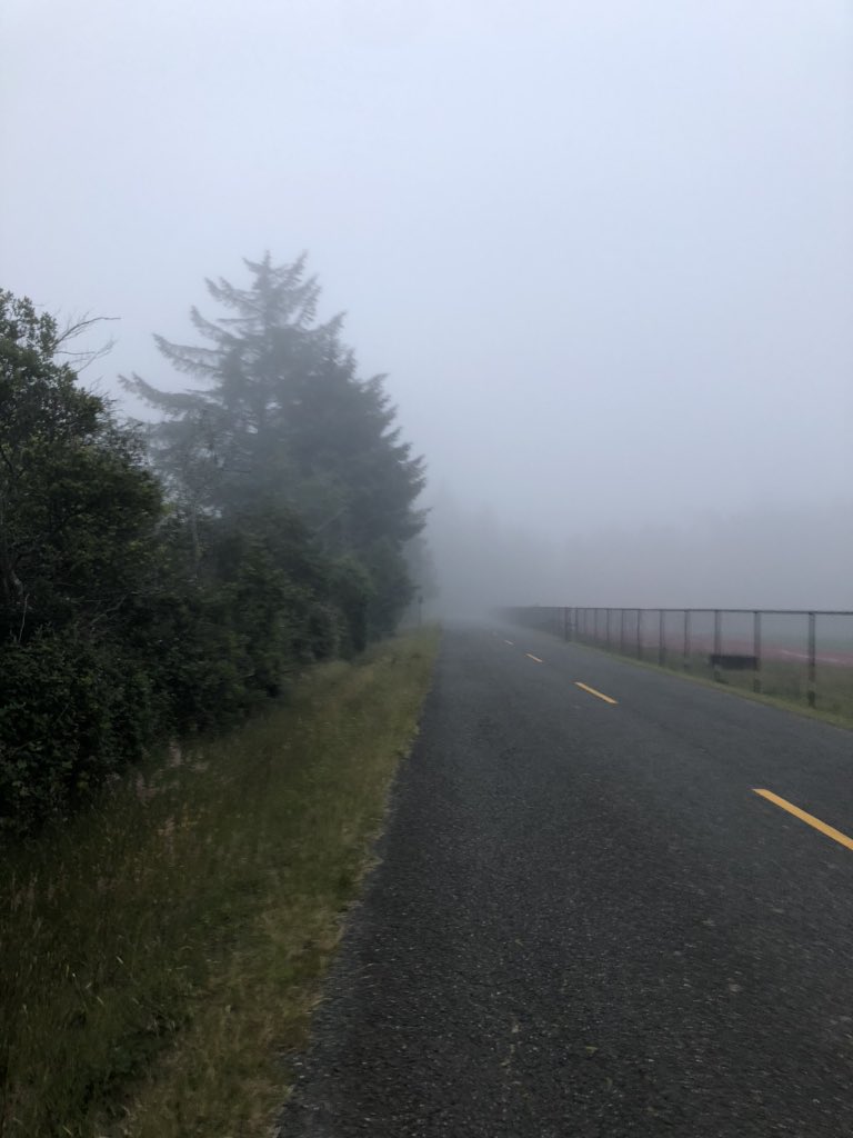 CoachHop's tweet photo. 🌫 Friday morning 🏃🏼😁 #DailyExercise #fitnessmotivation #FridayVibes #Grateful #HappyFriday #HealthAndFitness #healthiswealth #GoodVibesOnly #nikerunclub #nikerunning #NikeTrainingClub #Oregon #RunOregon #OregonRunner #CoosBay #RunCoosBay #CoosBayRunner #PositiveEnergy #Summer https://t.co/YmpEn7ABq2