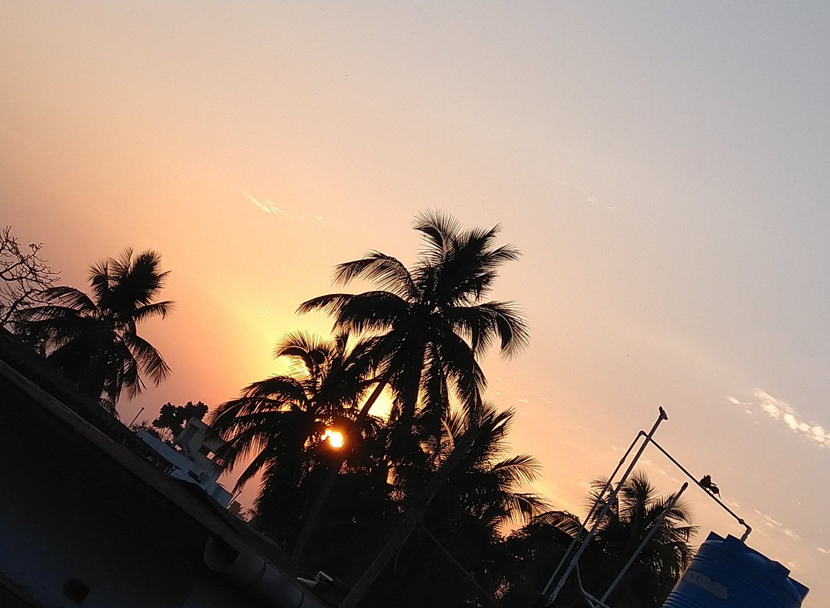 Meghmala15's tweet photo. 🧡অস্তরাগের আলো🧡
         ***************
দিনান্তের ক্ষণে --
পাখ - পাখালির কলতানে
হৃদয় - প্রকৃতিতে লাগে মাতন ।

রবি -কিরণের রক্তিম আলো
নয়ন যুগল জুড়ালো
লাজে রাঙা নববধূ সম ভুবন ।।

#sunset 🌄 #mobilephotography 📸 https://t.co/ug0zi1lq6S