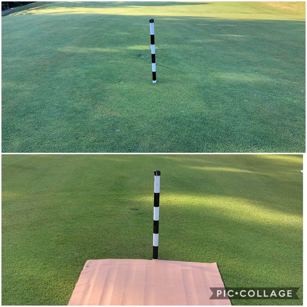LeefordSimpson's tweet photo. B4 & after Polyon/Anuvia custom blend application @KYStateParks Dale Hollow State Park GC Supt Marty Walden has the zoysia glowing 😎 @HarrellsLLC @yunior1970 #stayandplay #color #planthealth🌱 #Sustainability #Controlledrelease #exacta⛳️🏇🏼 #anuvia #polyon https://t.co/6nADQtTCHA