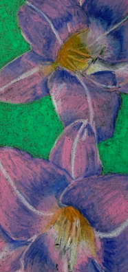 MelanieMitera's tweet photo. My summer school students pulled off these incredible oil pastel drawings inspired by Georgia O'Keefe. We are remote learning so this assignment was completed without the normal classroom feedback and with only a small box of oil pastels. Great work! #Proud2bMPS @m_south_hs https://t.co/FKsJMMcyXV