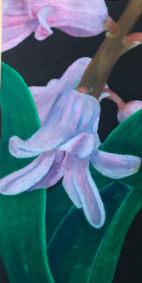 MelanieMitera's tweet photo. My summer school students pulled off these incredible oil pastel drawings inspired by Georgia O'Keefe. We are remote learning so this assignment was completed without the normal classroom feedback and with only a small box of oil pastels. Great work! #Proud2bMPS @m_south_hs https://t.co/FKsJMMcyXV