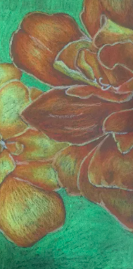 MelanieMitera's tweet photo. My summer school students pulled off these incredible oil pastel drawings inspired by Georgia O'Keefe. We are remote learning so this assignment was completed without the normal classroom feedback and with only a small box of oil pastels. Great work! #Proud2bMPS @m_south_hs https://t.co/FKsJMMcyXV