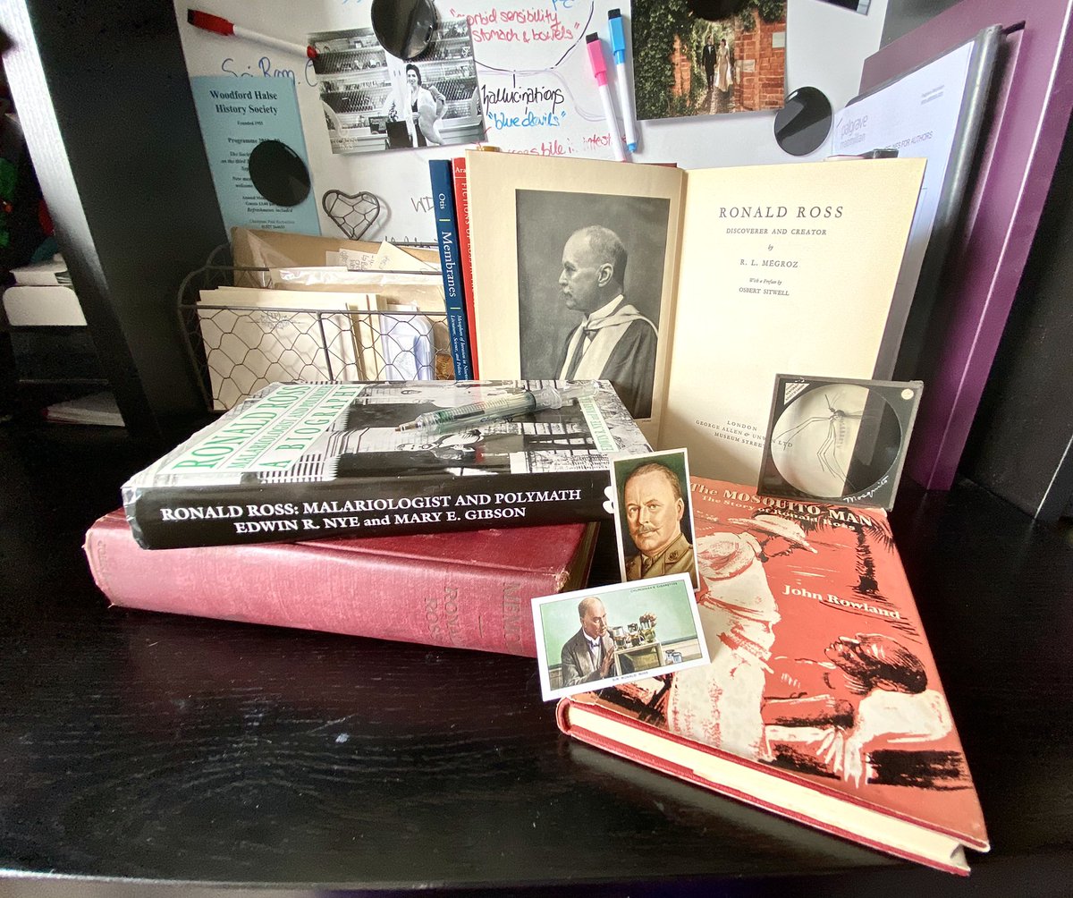 Dr Emilie Taylor-Pirie dretaylorpirie.bsky.social tweet media