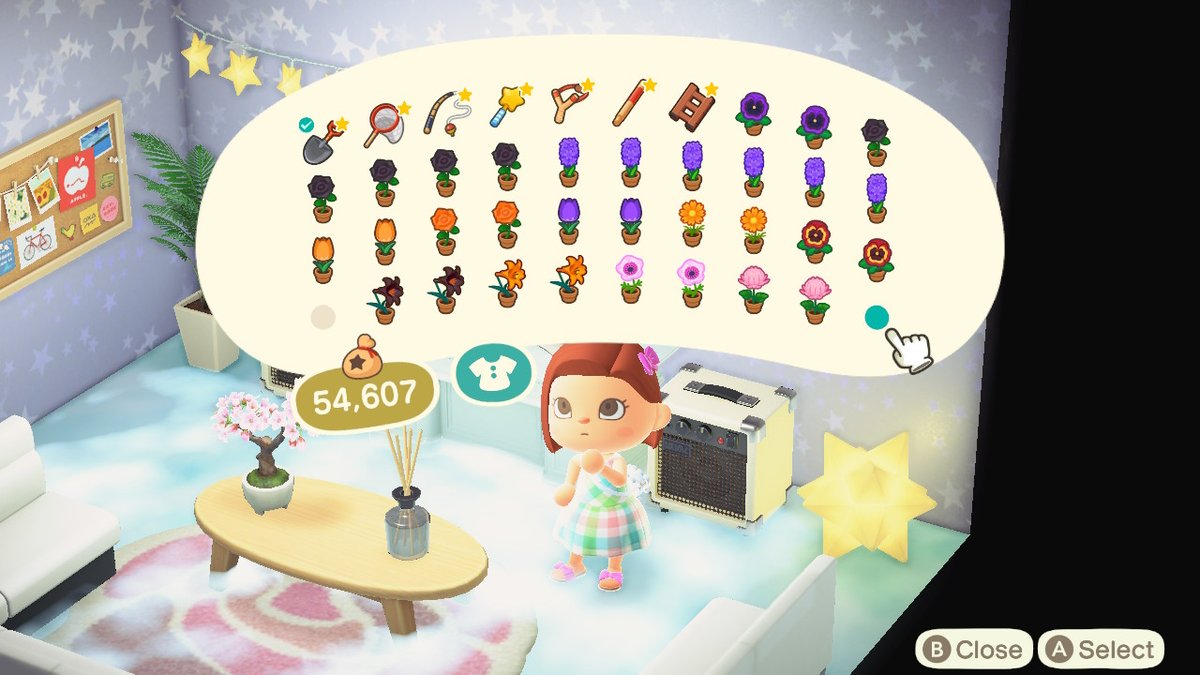 kymplays's tweet photo. Does anyone want these? DM me your #DodoCode if you want everything! #AnimalCrossing #ACNH #NintendoSwitch https://t.co/kHda72xGob