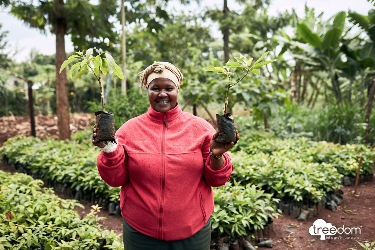 #WIN! This #giveaway from <a href="/Treedom/">Treedom</a> is for the #ecowarriors out there. Get a digital forest of 20 trees to support people and the planet worth £250! 🌲 Follow @checklist_tm, <a href="/hurstmedia_/">Hurst Media</a> and <a href="/Treedom/">Treedom</a> then click the link to enter: buff.ly/2Zbb5TA