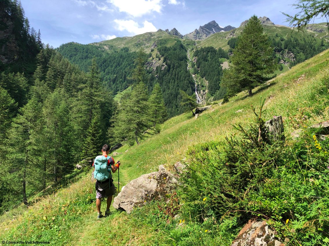 TurismoItaliaNw's tweet photo. Estate in Valchiavenna tra trekking, gusto e natura: nelle Alpi lombarde è pronta ad offrire esperienze uniche per ogni passione. Le proposte
Leggi la notizia https://t.co/UpPMzAvU8A
#Valchiavenna #turismo #trekking #viaspluga #AlpiLombarde #estate2020 @valtellina @inLOMBARDIA https://t.co/EkWMIHOAq1