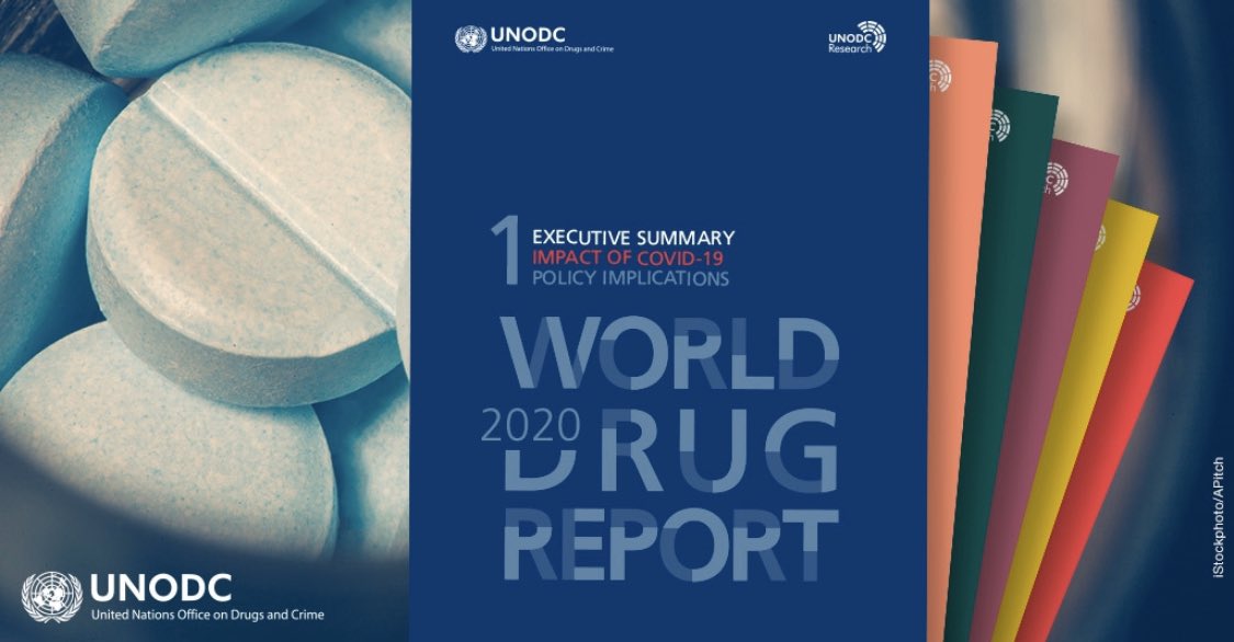 UNODC_PTRS's tweet photo. @UNODC_PTRS together🤝with the Research Section developed the 5th 📑 of the #WDR2020 on the association of socioeconomic characteristics& #drugusedisorders. #Socioeconomicinequalities impact the access to #drugtreatment👩🏻⚕️🩺.
#SDG3 #SDG5 #SDG10 #eachpersoncounts #WDD https://t.co/GGbAqqGoDx
