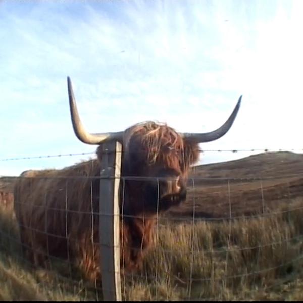 CAMP Radio tweet media