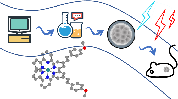 Johannes_Karges's tweet photo. Rational Design of Ru complexes for 1- and 2-Photon Photodynamic Therapy is out in @NatureComms. Very excited to see that some work I started 3.5 years ago and allowed me to work from France to China is published now. @GasserGroup @group_ctm @BlacqueO
https://t.co/s0AKYkTIZt https://t.co/e58A0MshwP