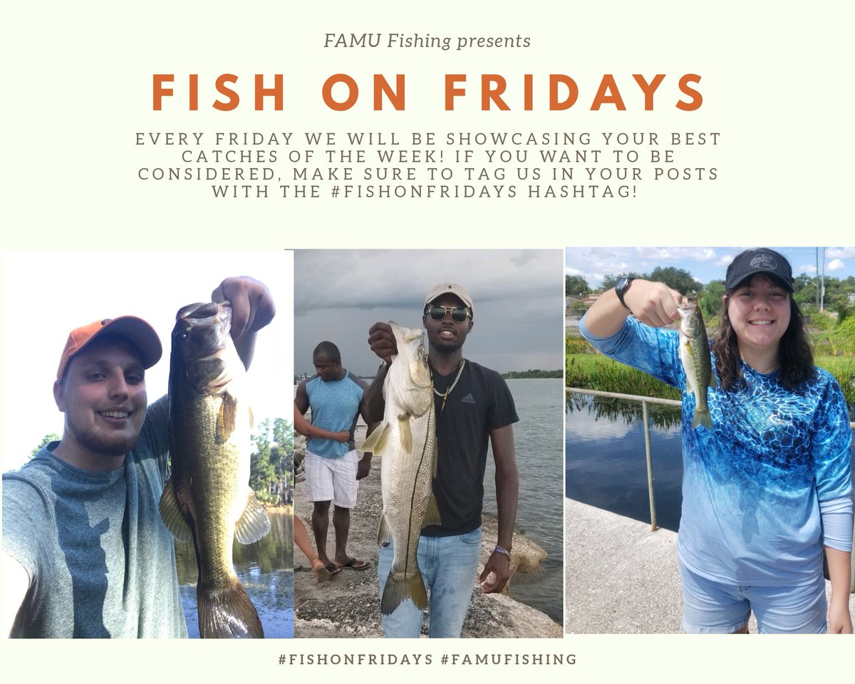 FamuFishing's tweet photo. Fish on Friday:  3 more catches this week!  We love seeing photos of the fish y'all catch! 
#bassprotallahassee  #bassprotally #tracker #trackerboats #FLW #bass #fishingleagueworldwide #fishing #FAMUfishingfamily #Famualumni #HBCU #Tallahassee #club #freshwater #FishonFridays https://t.co/2GOtks9Xzp