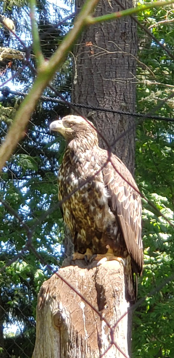 Daniel Sadowski tweet media