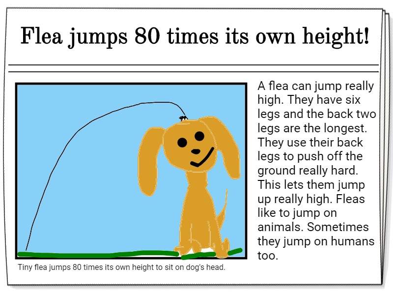 Tech4Learning's tweet photo. After reading informational texts and research, students retell or share an interesting fact or detail by writing a news headline and creating an illustration to match. Search "news" at your Wixie home page for a template. #WixieToday https://t.co/02DRTMuvov