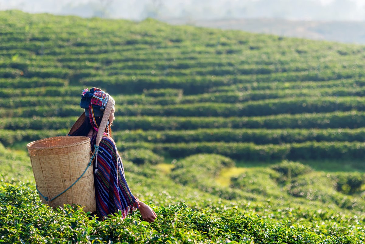 Leigh Day International tweet media