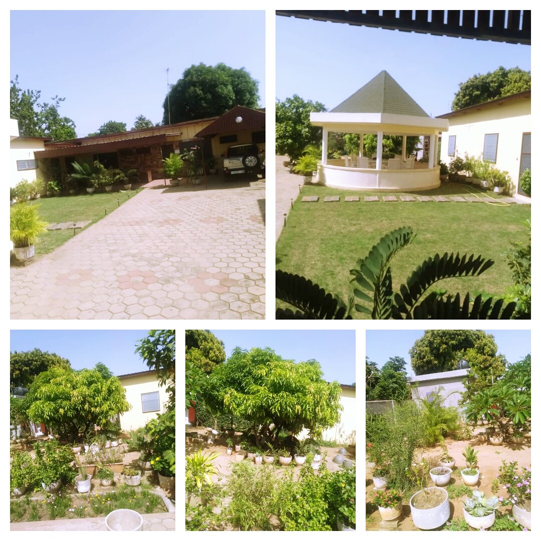WeeliTogo's tweet photo. #villa sur 781m2 avec #titrefoncier à #vendre à #Lomé Forever à 95 millions FCFA.
👉 4 chambres, 3 salles d'eau
👉 Une paillote , un jardin, une allée pavée et une boutique
(+228)90618121/97778347
https://t.co/EromLKXEDb
#Weelitogo #immobilier https://t.co/YpZqfdm2B7