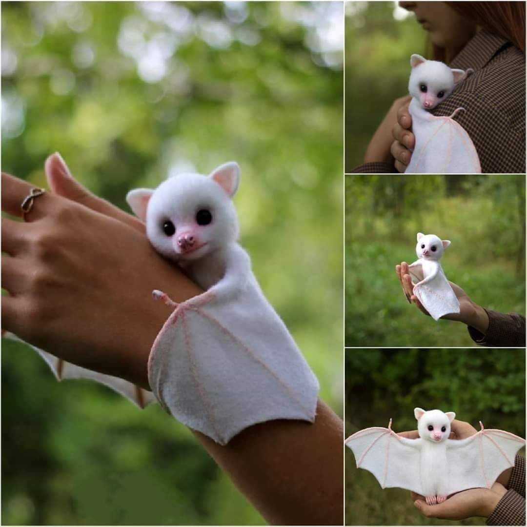 コボリサヤカ　ぬいぐるみ　 アルビノコウモリ