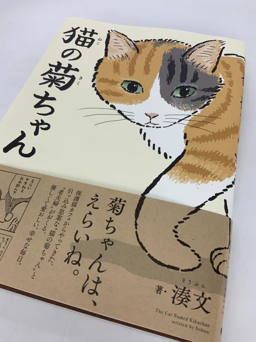 湊文さん @sobun_nekomanga の『猫の菊ちゃん』も献本いただきました。特別なことはないけど、それが素晴らしい漫画。このまま何巻も続いて欲しいです。そしてイライラした時の菊ちゃんがバオバオに似てる……バオバオはソファとかにダイブですが。すぐ機嫌が直るのも似てる。https://t.co/TIFyaObnbO 
