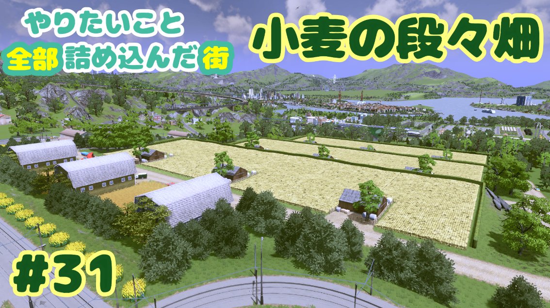 シティーズ スカイライン スイッチ