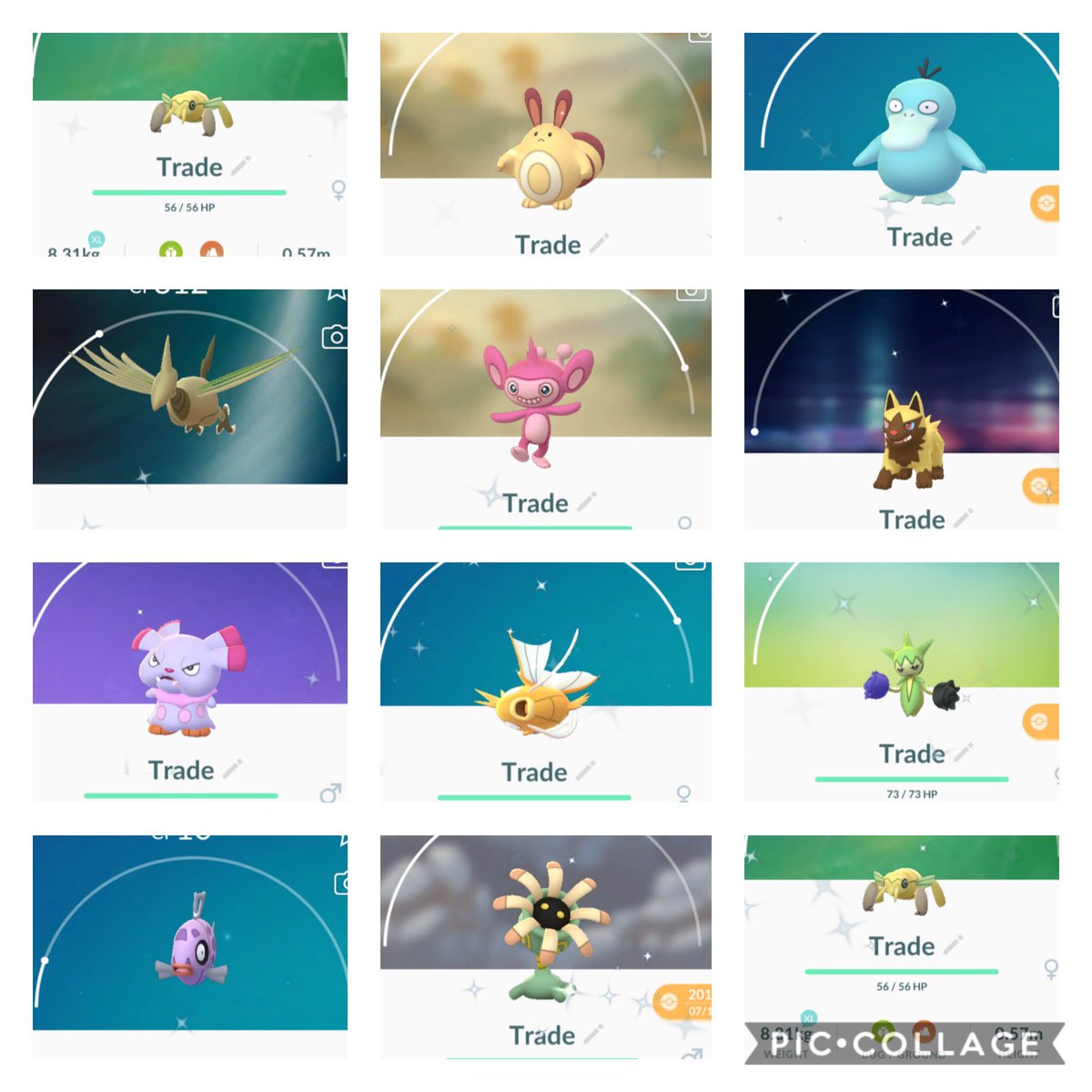 Andrea06587509's tweet photo. Lf shiny teddiursa female, can’t spoof! Please help me share @Shinytracker @Hcouto91 @OzRlate1 @Shiiiiiiinnny @PoGoHunter86 https://t.co/obPuYcX0fO