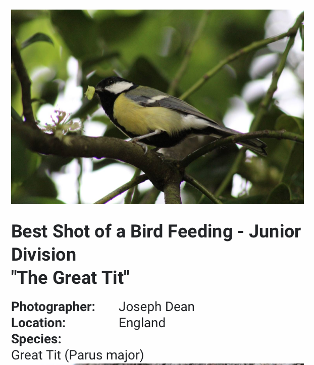 A massive well done to our Photographer Joe Y12 who won 'Best shot of a bird feeding' <a href="/KingBirder/">KingBirder</a> - he's been getting out there shooting the wildlife for his Y13 PI 👏📷 #inittowinit #alevelphotography #winner <a href="/RoundhaySchool/">Roundhay School</a> <a href="/Roundhay6thForm/">Roundhay Sixth Form</a> 
kingbirder.com/shelter-snap-w…