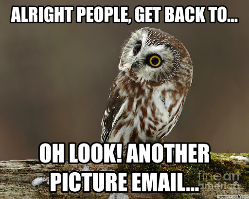 Facet5's tweet image. Oh dear. It's the end of the week &amp;amp; it seems to be especially hard for #lowcontrol to stop getting distracted! Next week put all distractions away including multiple open tabs on laptop &amp;amp; phones on silent. Any more advice?
#PowerofPersonality #LowControl #FridayFeeling #organised