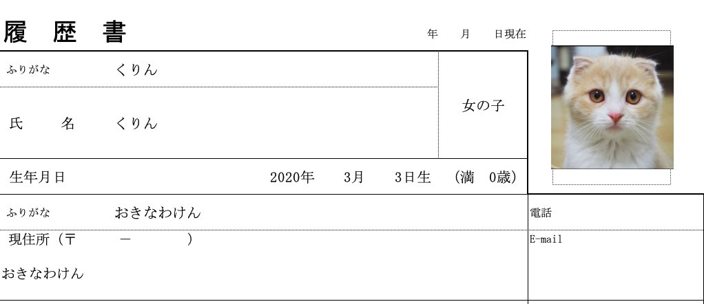 猫の履歴書 - Twitter Search / Twitter