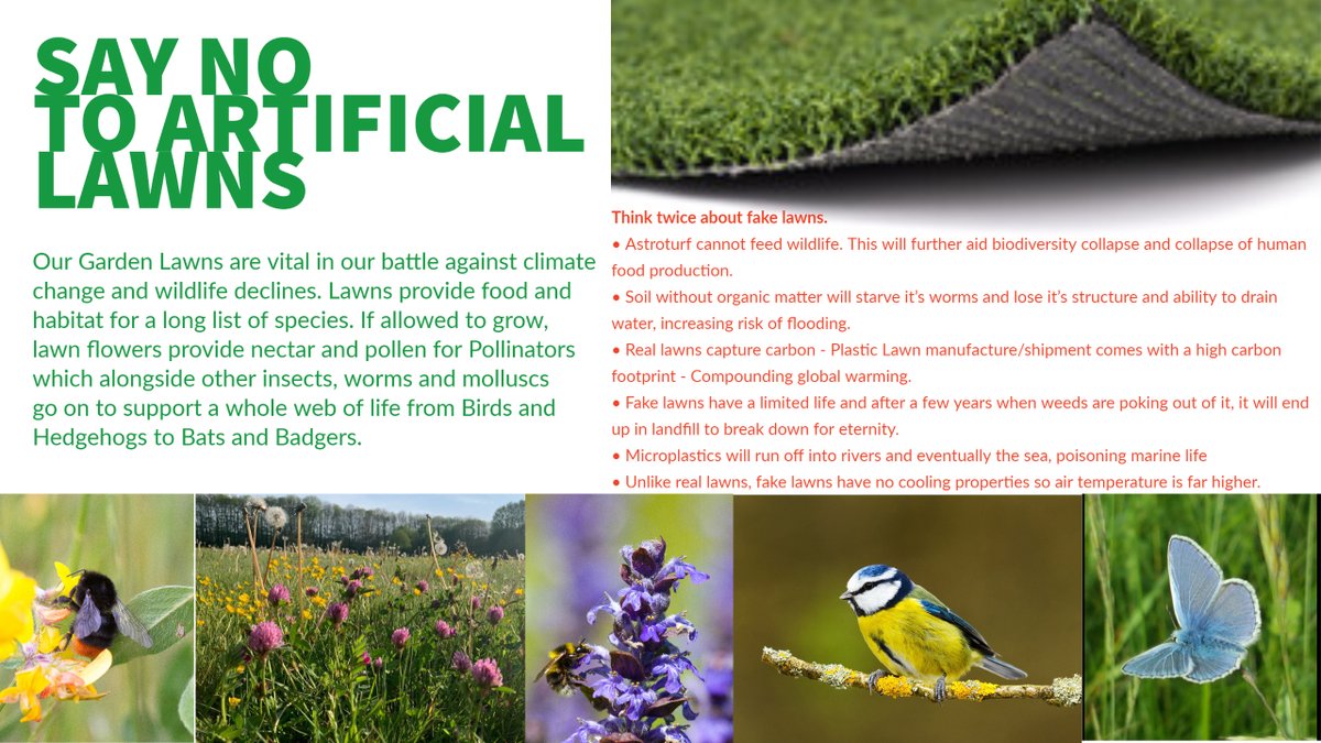 Artificial Lawns are spreading at a worrying rate, fuelling an even more rapid decline of biodiversity. Until Government make these dreadful plastic landscapes illegal, we'll need to work to help people make more informed decisions in their garden. Please share far and wide