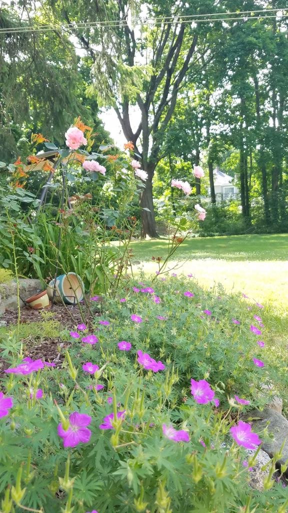 Enjoying the Summertime!

#SummerVibes #SummerRush #SummerSolstice2020 #summer #Flowers #Summer2020 #LivingmyDreams