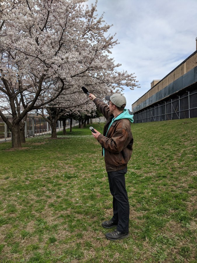AnimBehSociety's tweet photo. Join us on Monday June 29 for an ABS Twitter Takeover!

Mason Youngblood @MasYoungblood (@QC_News, @GC_CUNY) studies #cultural #evolution of #birdsong in #urban habitats. His work helps us understand #human #cultures and even #music! 

Follow here: #ABStakeover https://t.co/z1SODhKIGy