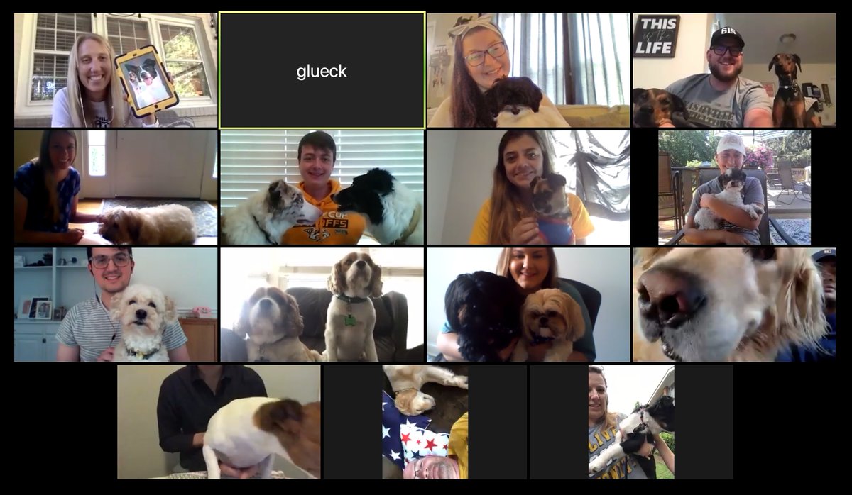 PredsNHL's tweet photo. Happy National Take Your Dog To Work Day from our staff doggos to yours! 

@PedigreeUS | #takeyourdogtoworkday https://t.co/7iDj5yBwOc