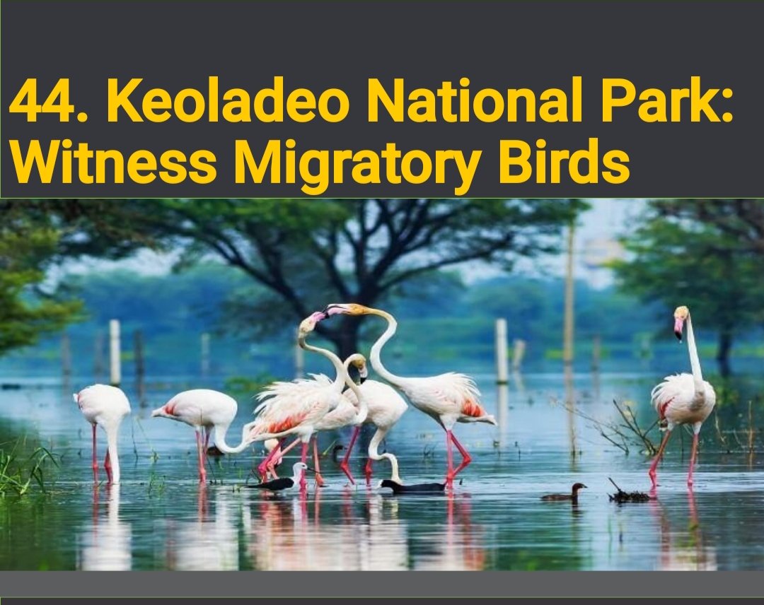 Hope On Tourism tweet media