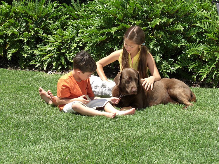 FloridaHomeMag's tweet photo. Bringing Barefoot Back
While we can enjoy having warm weather most of the year here in Florida, we’ve been missing the joy of beautiful and lush grass. If you visit https://t.co/WxEH5mLxaK and shop for your new EMPIRE Turf now, you’ll be kicking off your shoes in no time! https://t.co/LAizP3fgtK