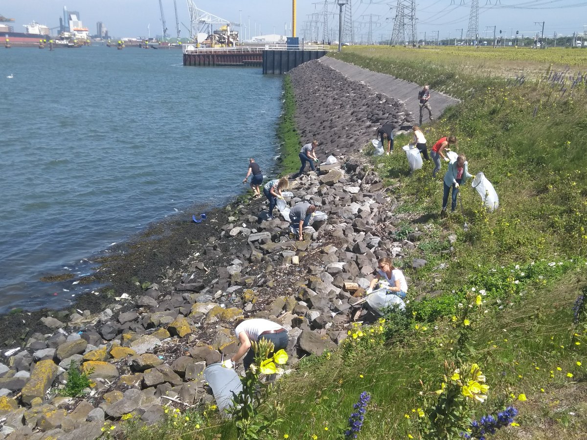 We are very excited to share we can finally gather again to clean the #river shores from #plasticpollution!

We will clean the Wilhelminahaven area in #Rotterdam in the afternoon of July 5th.

To join us, please register here: river-cleanup.org/en/river-sunda…

#foraplasticfreesea #CleanUp