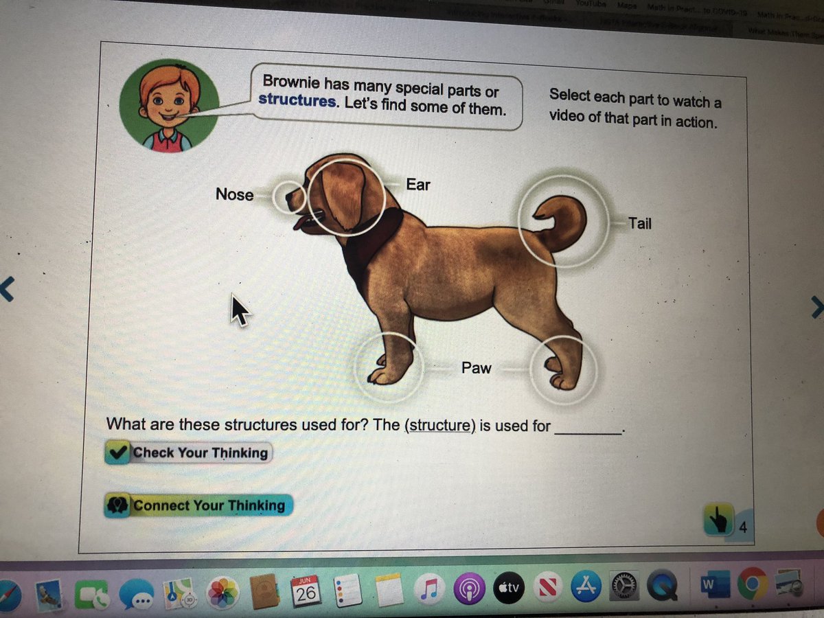 Jen Burke tweet media