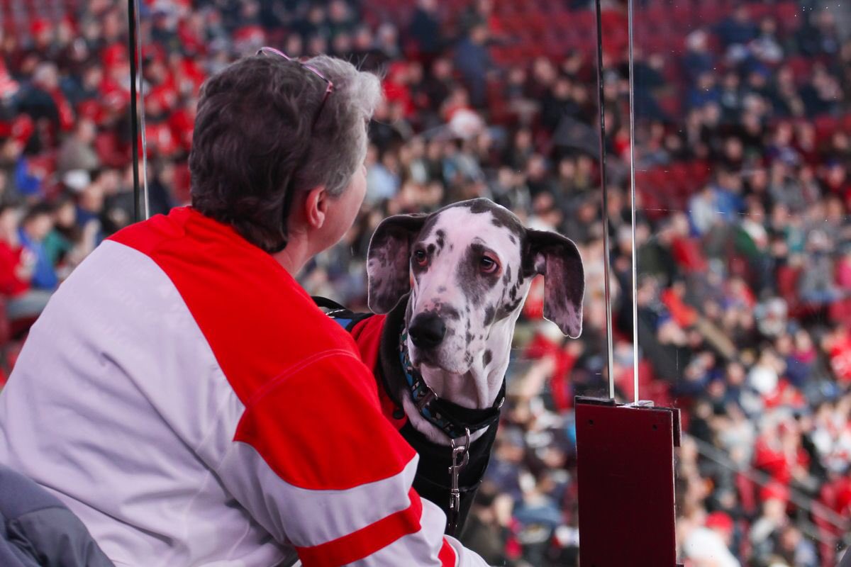 It's a ruff job but someone has to do it. 😉🐶💼 #TakeYourDogToWorkDay
