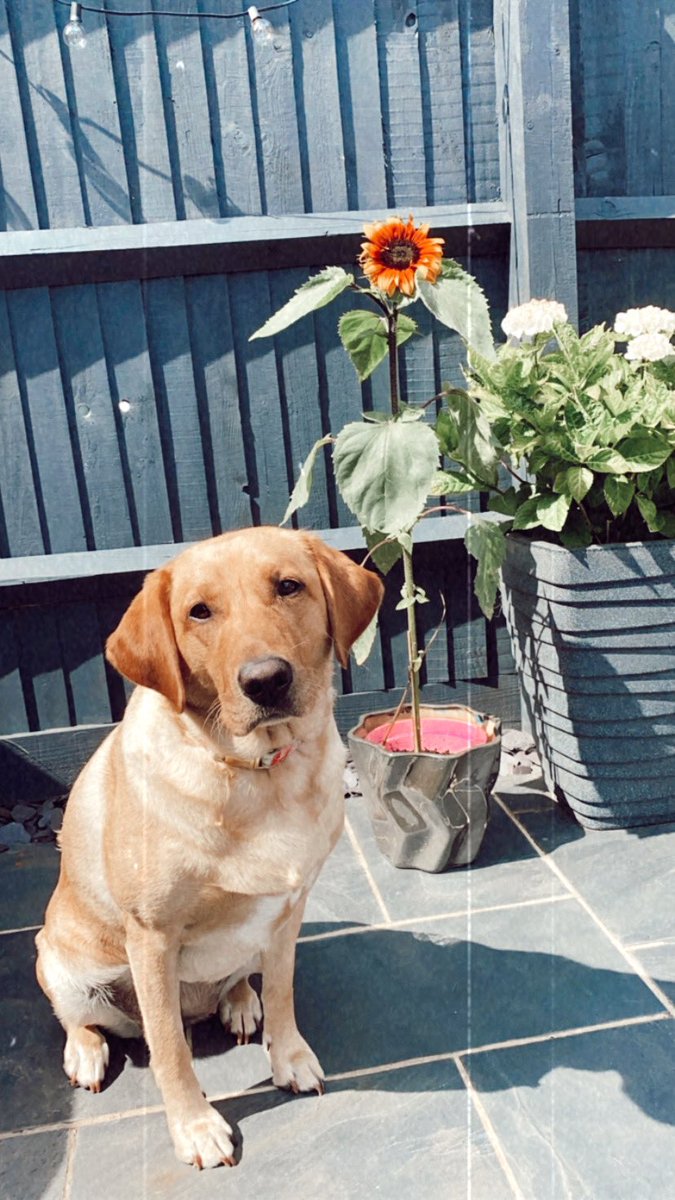 Miss Ryan tweet media