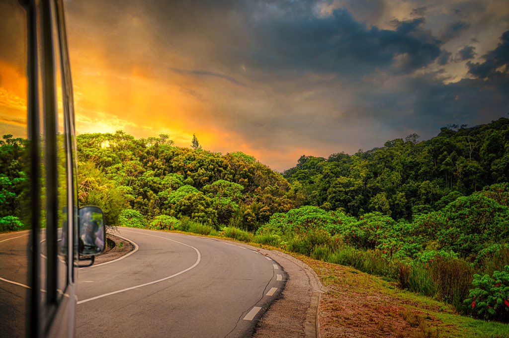 Hitting the Road soon again to Nyungwe National Park.
©️@innocentrw / IMAGE RWANDA 

#ImageRwanda #VisitRwandaSoon #TravelRwandaSoon