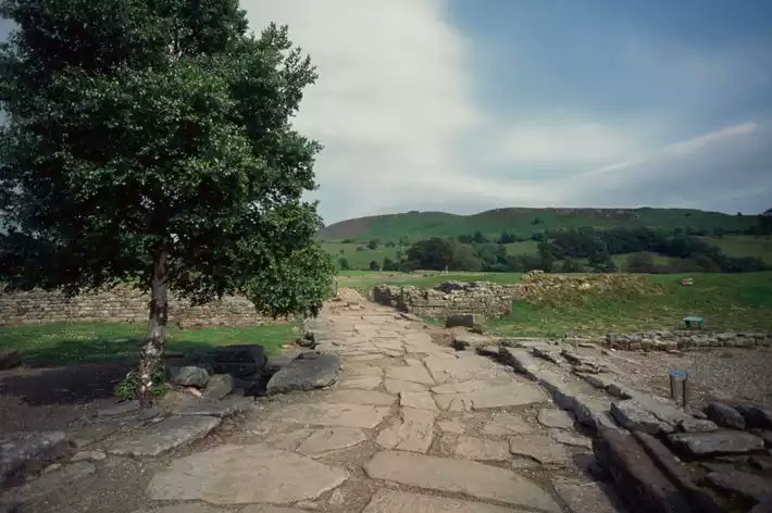 Exploring Britain’s #Roman roads with historian Dan Jones. historyextra.com/period/roman/b… #RomanBritain #RomanRoads #RomanArchaeology #Archaeology