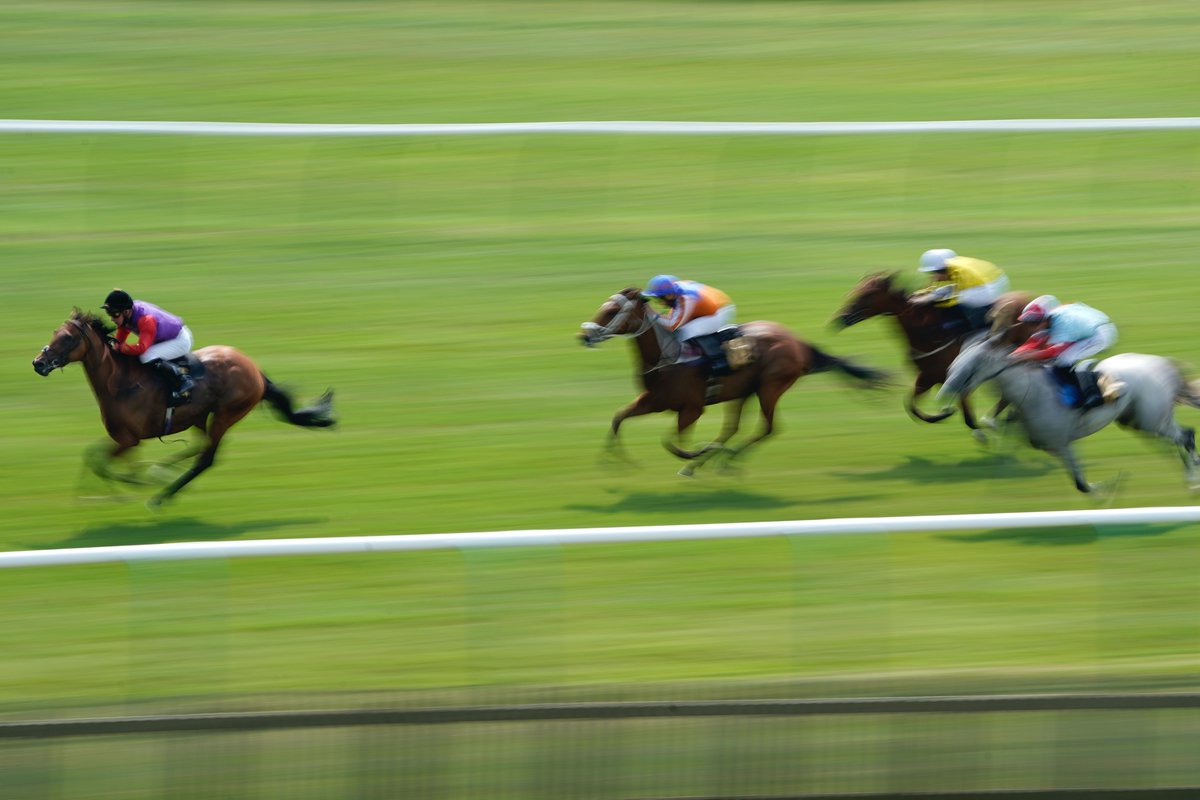 MajestyMagazine's tweet image. A win for the Queen in the 3.15 at #Newmarket this afternoon with Evening Sun, ridden by Jason Watson. #racing #firstpastthepost