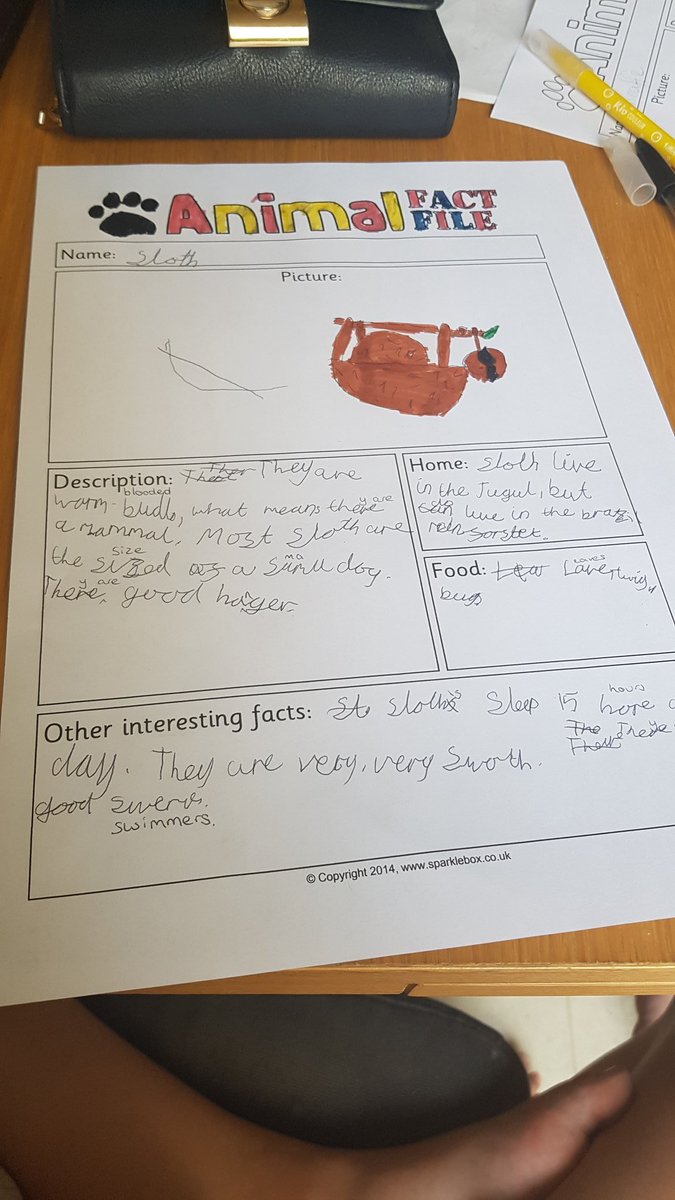 Debbie Wade tweet media