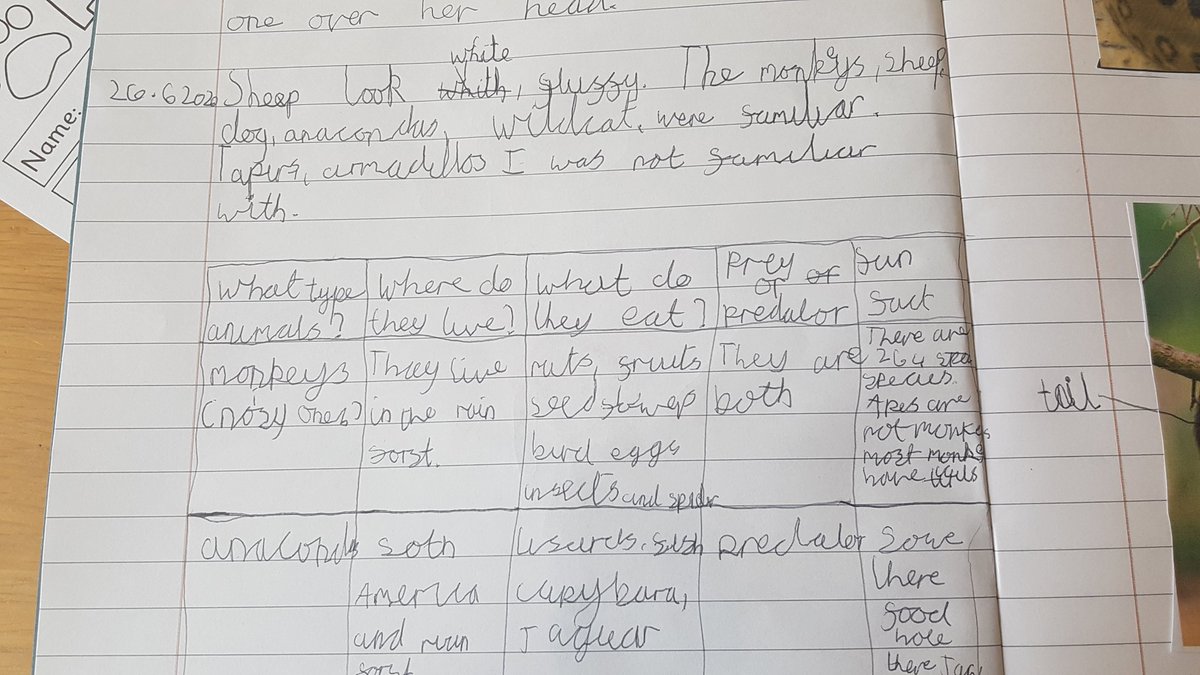 Debbie Wade tweet media