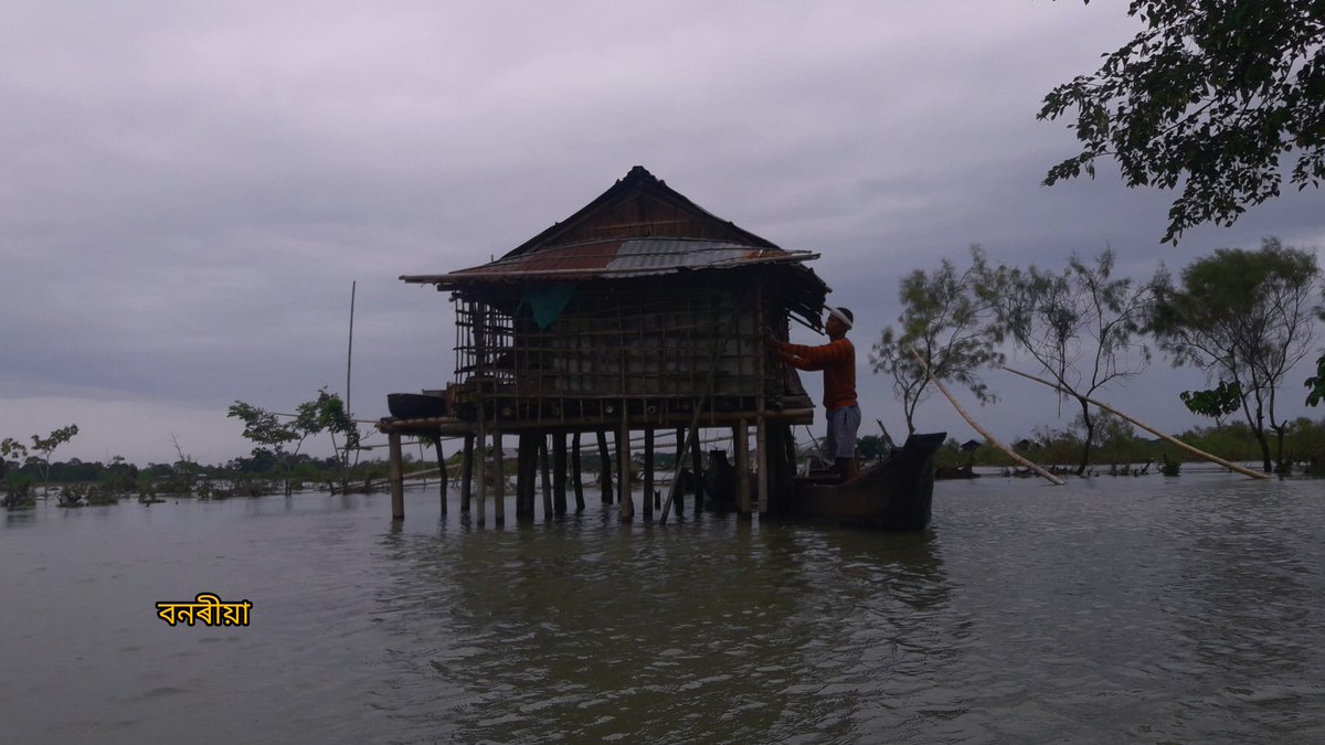 doley_rishan's tweet photo. প্লাৱিত অসম ।
#flood2020 #majuli #molaiforest  #assam https://t.co/33s7d9oec9