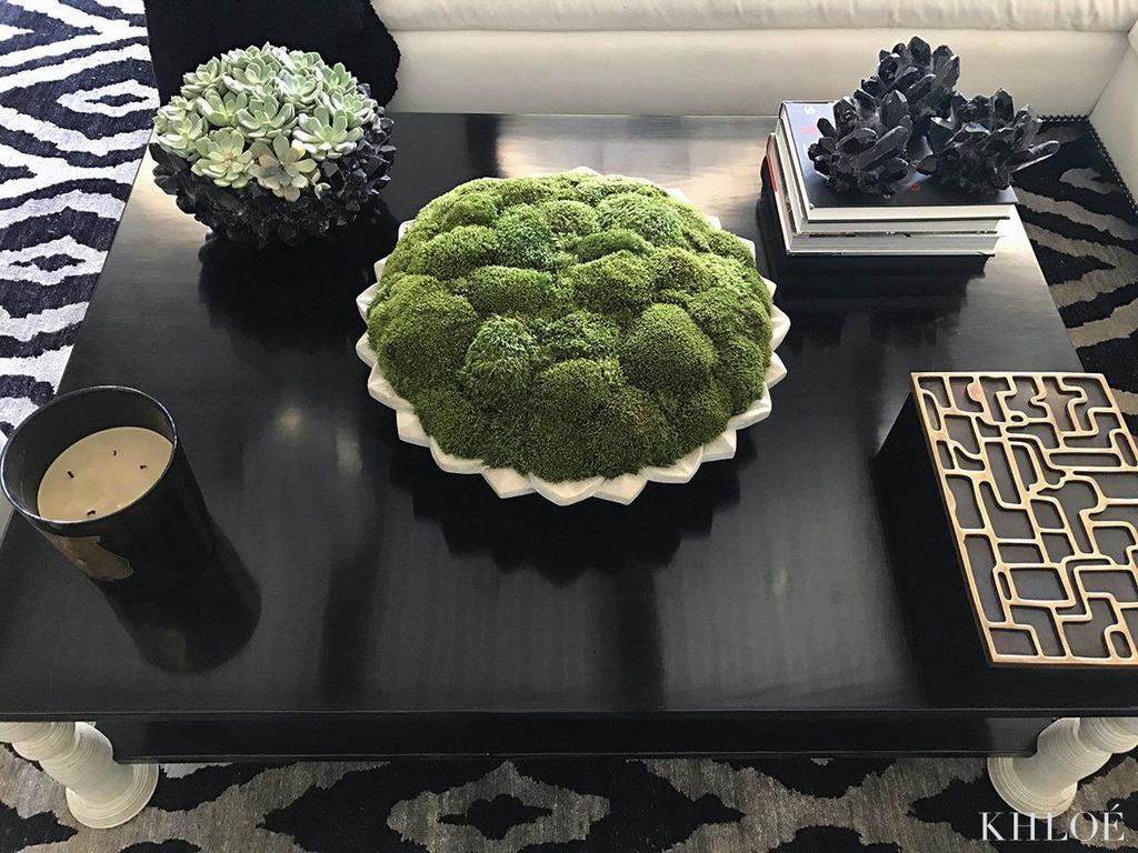 LUMUT NI KORANG BOLEH GUNA SEBAGAI HIASAN DALAM RUMAH TAU ! Cantik kannn? Yang last picture tu from KHLOE KARDASHIAN'S LIVING ROOM  Lets see apa benefits lumut untuk kita as manusia ? 