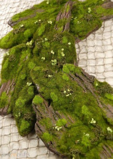 Next,LUMUT / MOSS is best in reducing the severity of acne. Also, lumut mempunyai sifat mampu menyimpan air dengan banyak and with that lumut mampu mengekalkan kelembapan kulit kita ! Tak sangka kan LUMUT boleh ada benefits macamni 