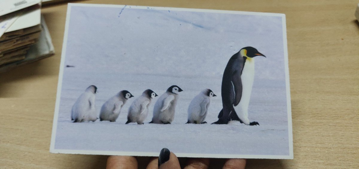 And I saved the best for last...This  @gokoulane who is a hardcore postcrosser managed to get a card a all the way from Antarctica and managed to get me a card as well... Literally from ANTARCTICA....FIN...