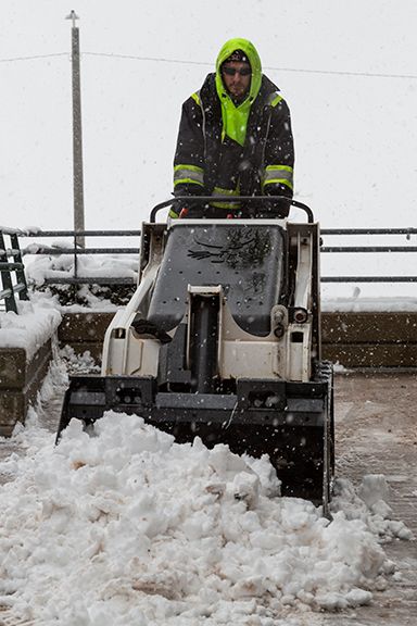 CSL_Group_Ltd's tweet image. #FlashbackFriday to our crews at Juravinski Hospital and Cancer Centre Foundation cleaning up after a beautiful snowfall ☃️🚜
.
.
#snowcleanup #commercialgroundskeeping #keepingyourworldbeautiful #landscaping #snowremoval #propertymaintenance