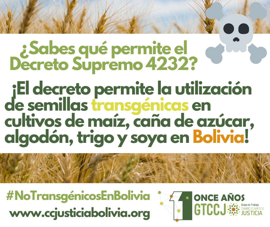CCyJusticiaBoli's tweet photo. ¿Sabes qué permite el Decreto Supremo #DS4232?
☠️ ¡El decreto permite la utilización de #semillas transgénicas en cultivos de maíz, caña de azúcar, algodón, trigo y soya en #Bolivia! 🌽
#NoTransgénicosEnBolivia 🌿💪 #BoliviaLibreDeTransgénicos #NoTransgénicosBolivia https://t.co/J7whWoVVcC