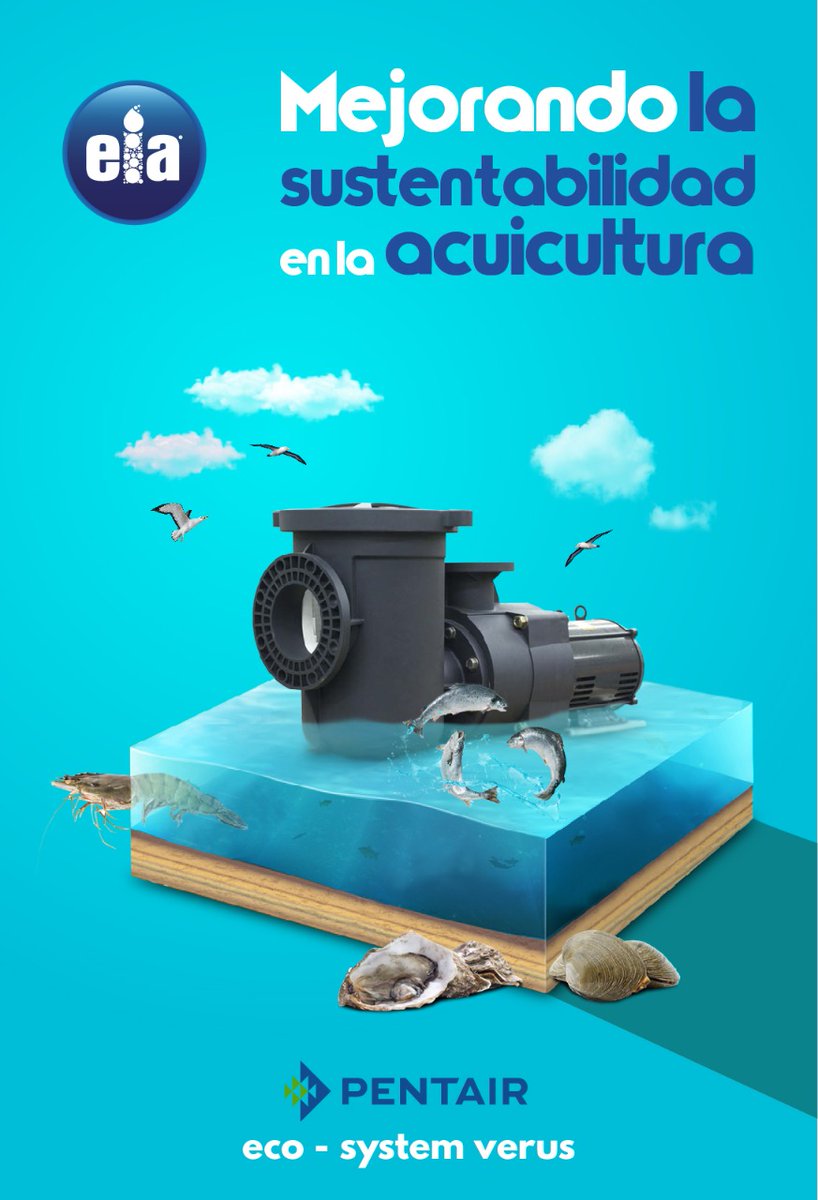 eia_comercial's tweet photo. Bomba @Pentair Aquatic Eco-Systems Verus te brinda una gran eficiencia eléctrica/hidráulica y ofrece un rendimiento superior y bajos costos eléctricos.
@PentairAES @PentairHypro #Acuicultura #Acuacultura @Conapesca 
#MovemosAgua
🖥️https://t.co/BxXiNGMfjb
📨info@eiacomercial.com https://t.co/wU4qtfVVau
