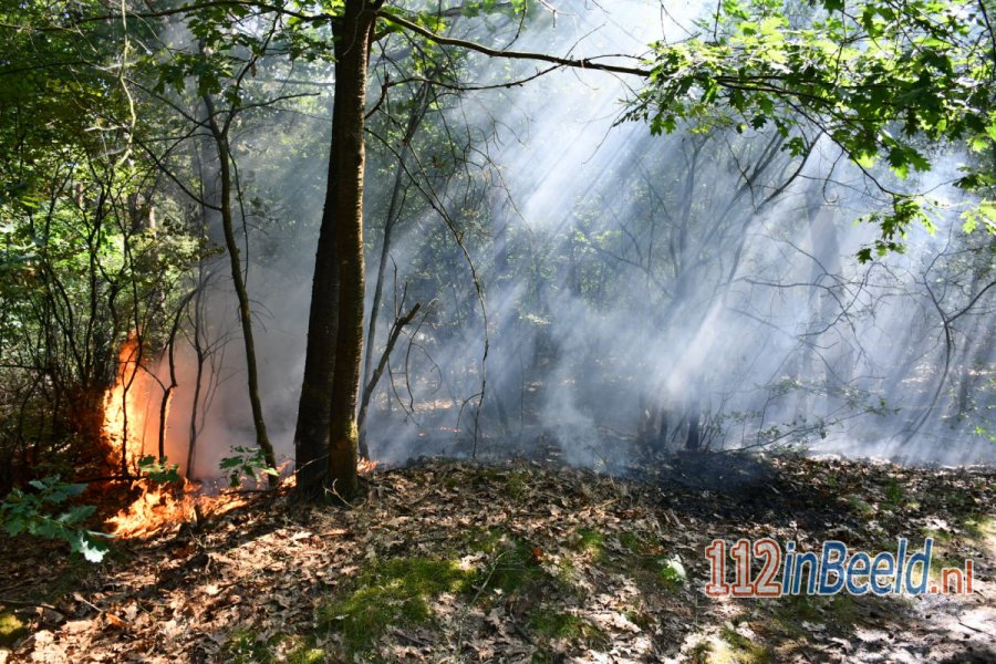 Voorbijgangers ontdekken bosbrand brand aan de Dennenweg in #DenHam. 112 in Beeld.